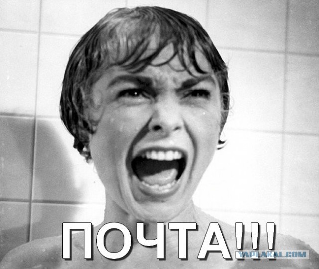 Жопа мира!