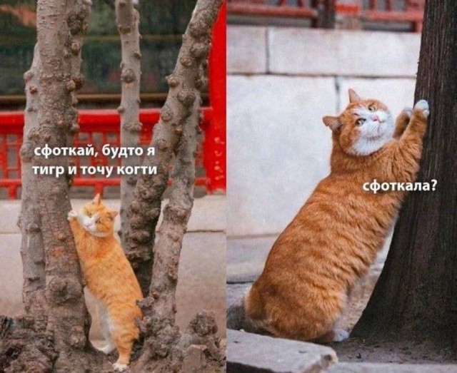 Завалялось тут случайно немного забавных картинок