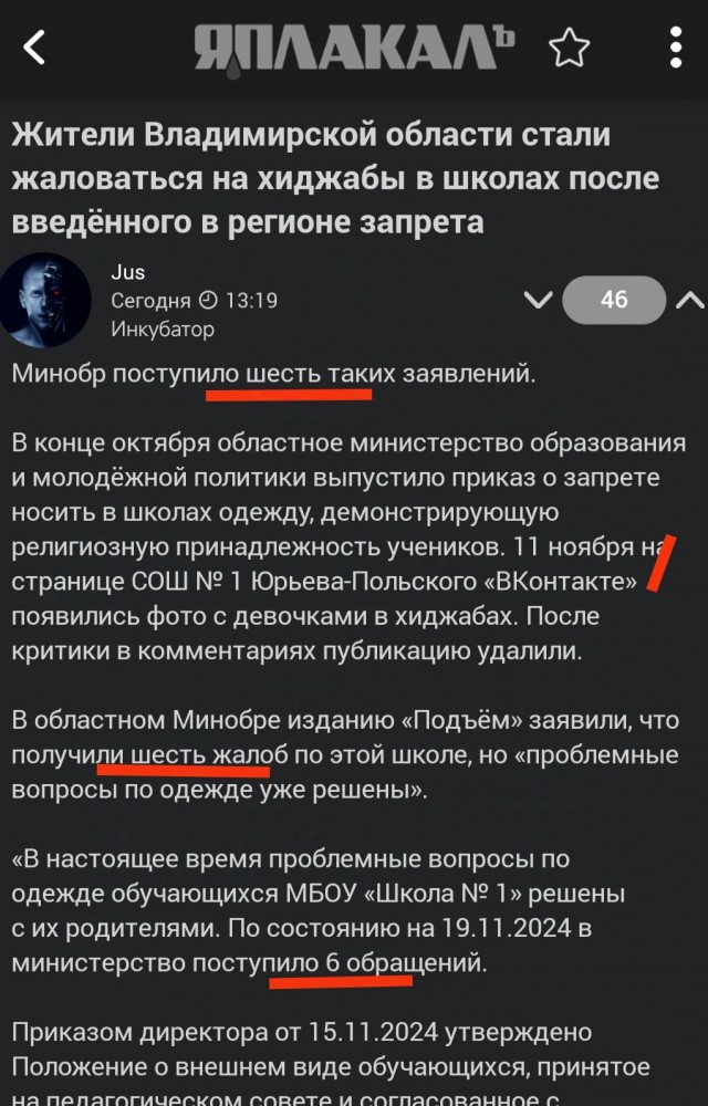 Жители Владимирской области стали жаловаться на хиджабы в школах после введённого в регионе запрета