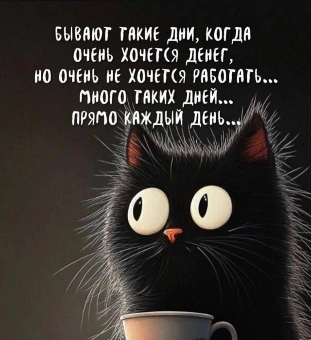 Так себе картинки 05.12.24