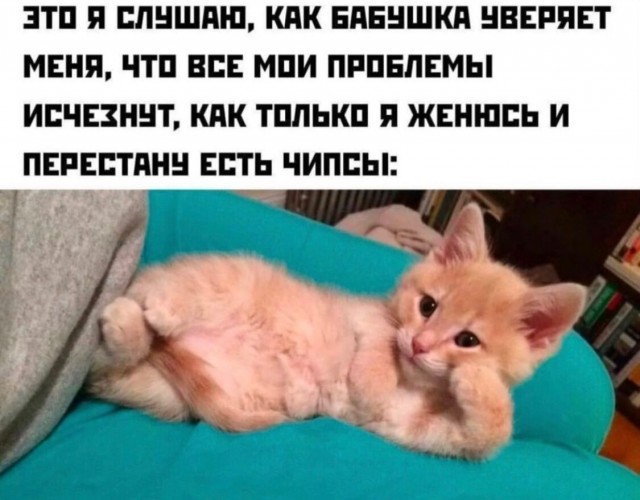 Завалялось тут случайно немного забавных картинок