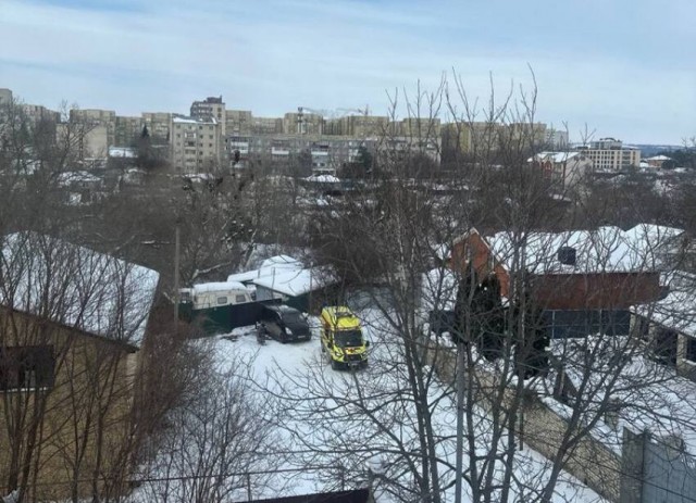 Появилось видео нападения собак на девочку