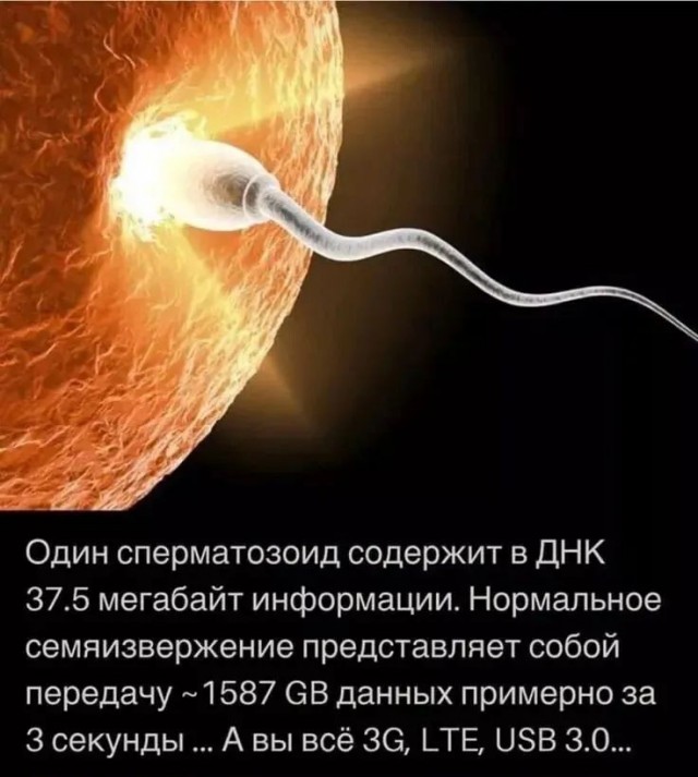 Маленькая пятница 4.06.25