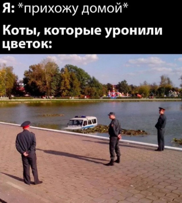 Какие ваши докзателства (с)