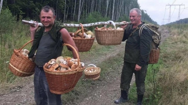 Смешал, но не взбалтывал: 26.07.25