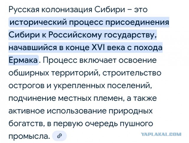 Обезьяна в трусах напала на менеджера магазина в Красноярске