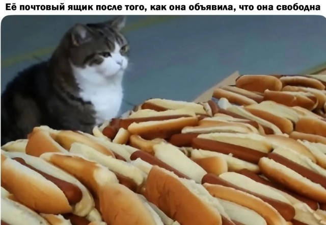 Пошлый и взрослый юмор