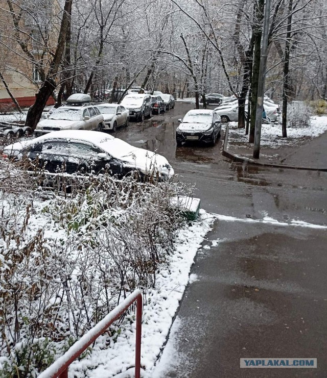 Одной тайной меньше