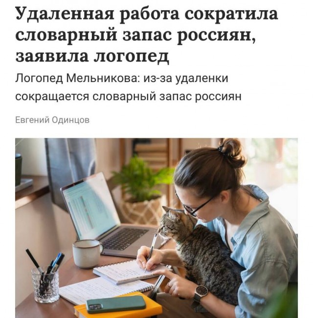 Удалёнщики в России отупели
