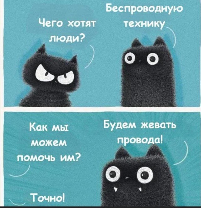 Шерстяные пидо.... братья наши меньшие