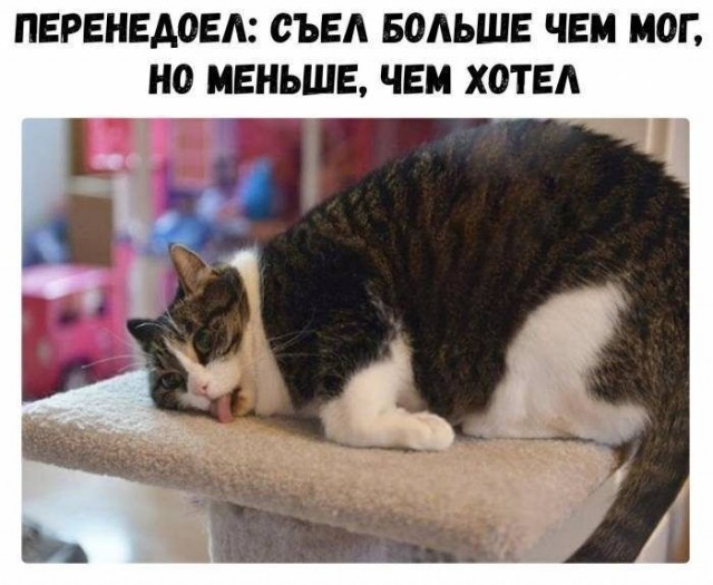 Субботние картинки