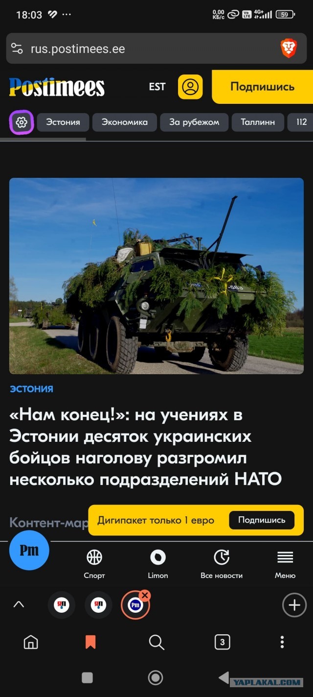 Учения НАТО в Эстонии военные описали фразой «мы в жопе»