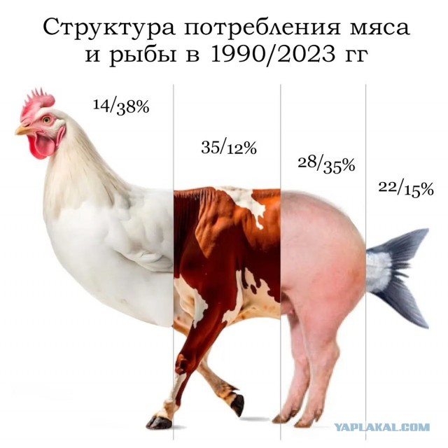 Советская столовская еда: почему от нее не толстели