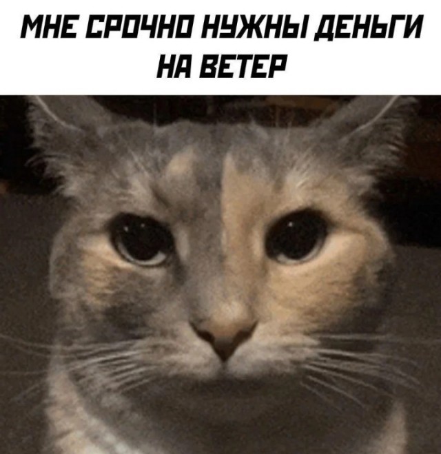 Пост о *непечатно*