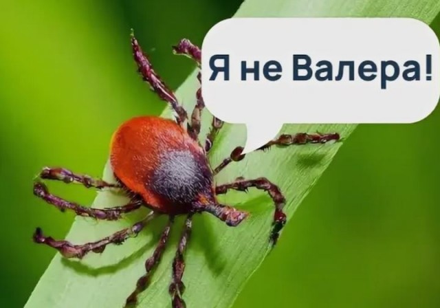 Весна возвращается: апрельское солнце прогреет Подмосковье до +15°C
