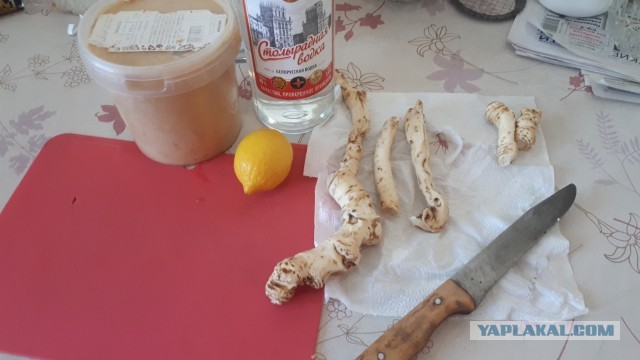 Сало и хреновуха