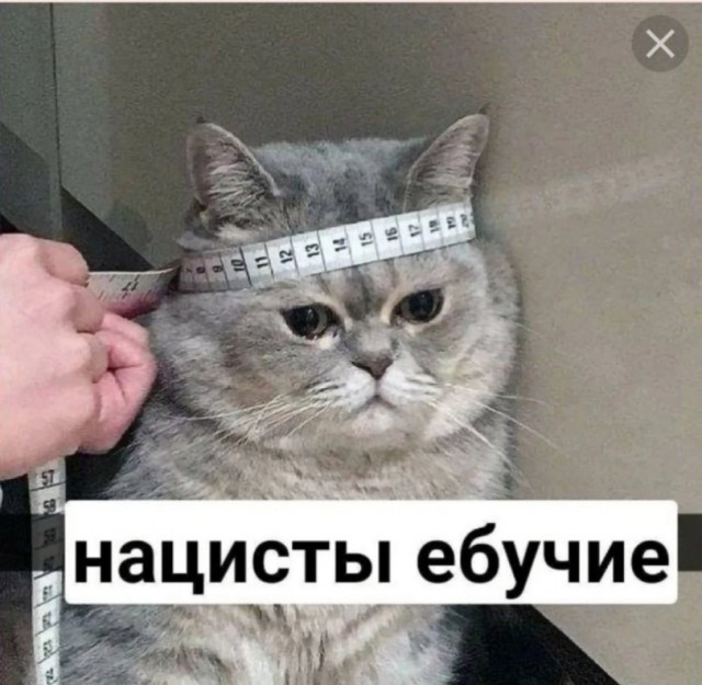Путин призвал усилить проверки россиян на возможности к деторождению.
