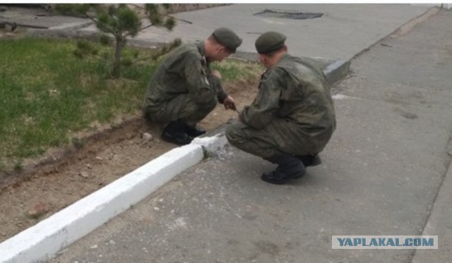 Зачем красить бордюры?