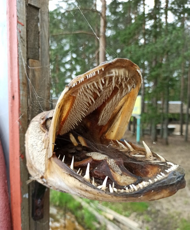 Мокрые миллионы