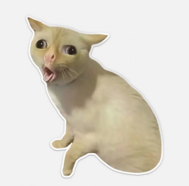 И что мне с этим делать?