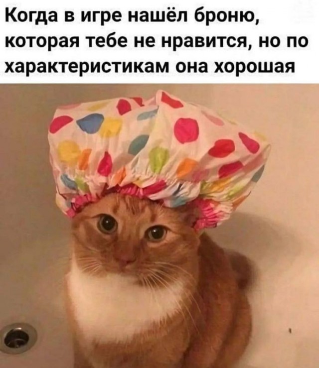 Картинки для деградации 221 (разной степени свежести)