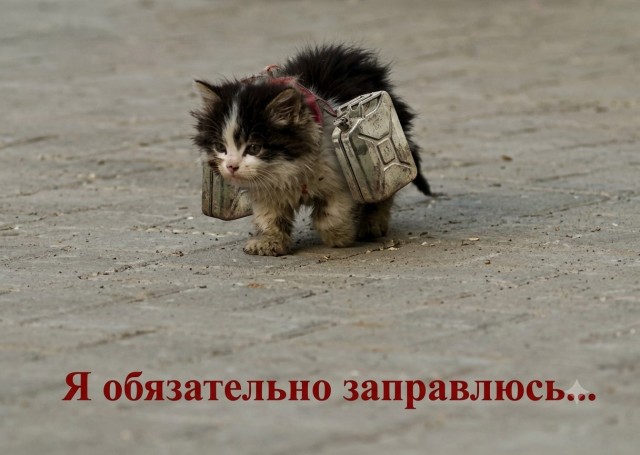 В пути на пятую по счету АЗС