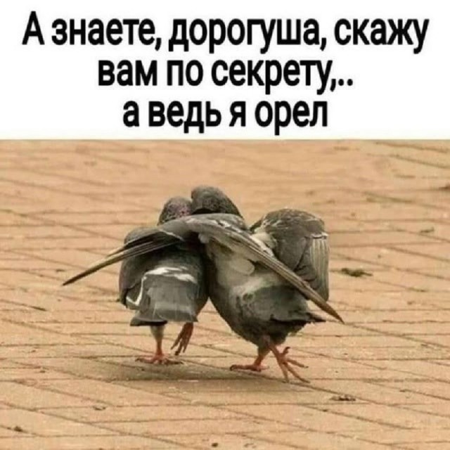 Так себе картинки 13.07.26
