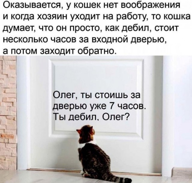 Так себе картинки 24.07.26