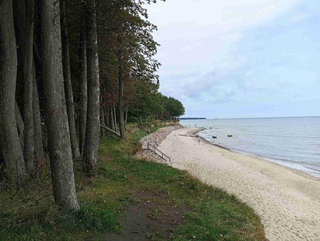 Субботний велопробег до моря