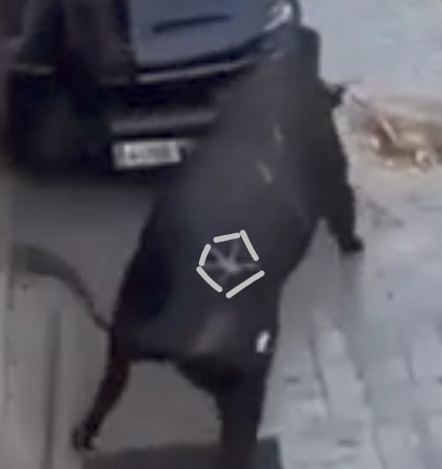 Быканул немного