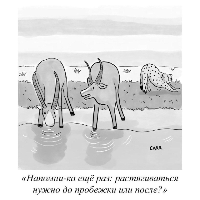 Так себе картинки 29.09.26