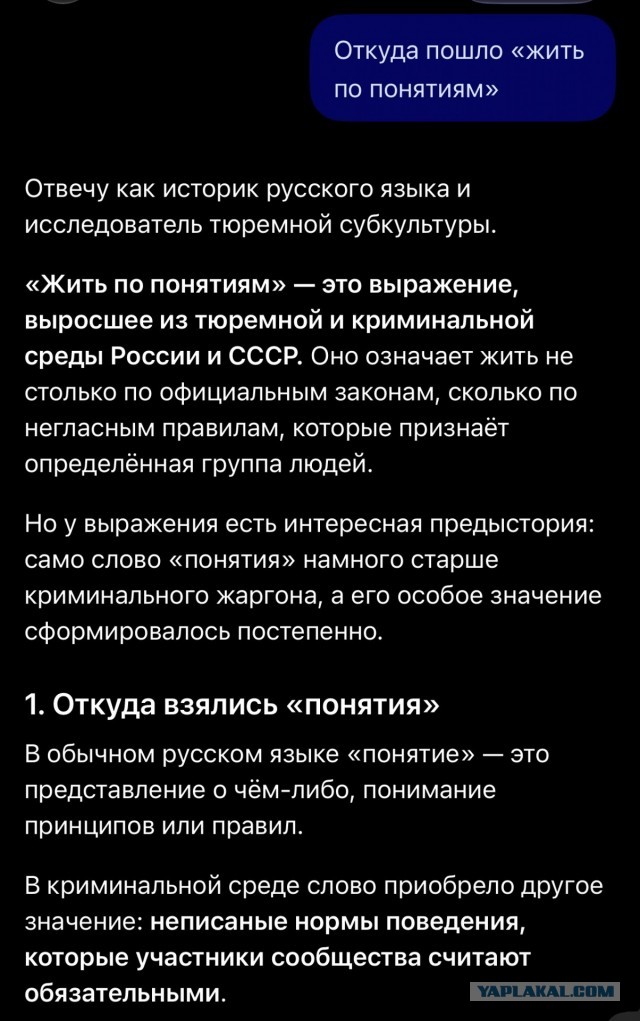 АУЕ - секта понятий, захватившая СНГ