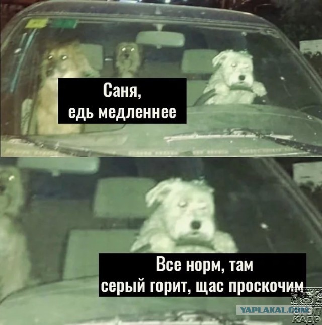 Как такое может быть?