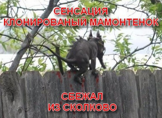 "За гаражи не ходи!"
