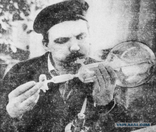 Визуализируем свои Дни Рождения