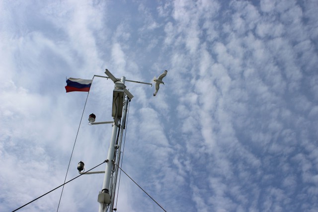 Отчёт о поездке в Крым 12.07 - 29.07