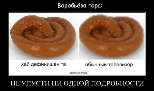 Воробьёвы горы.