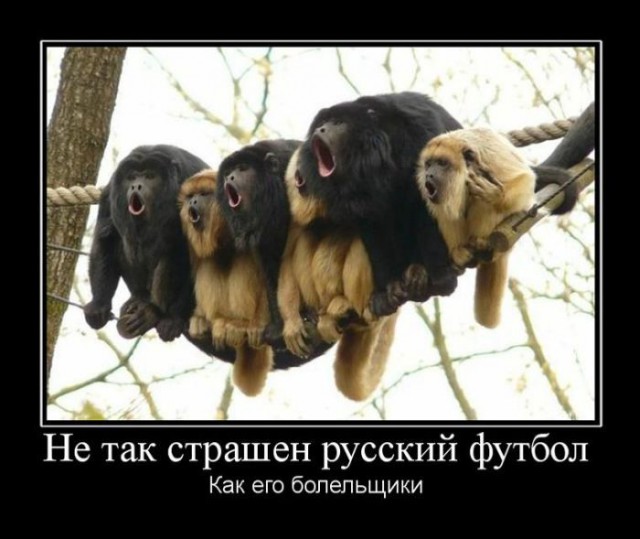 Champions League Сезон 2014/2015