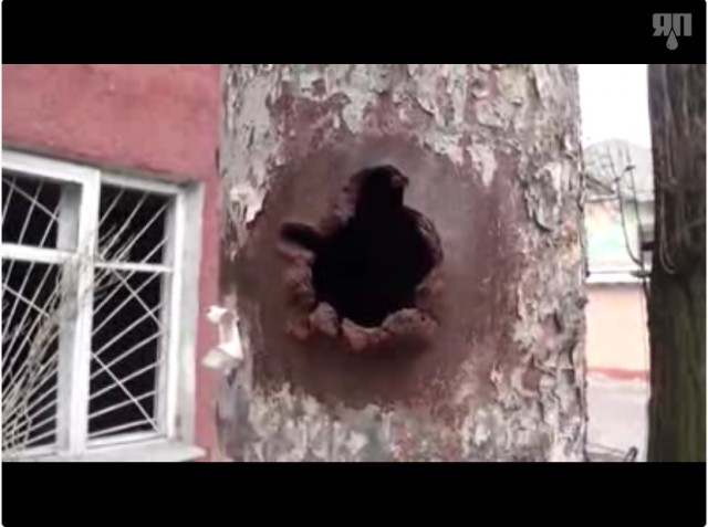 Выстрел из РПГ в упор