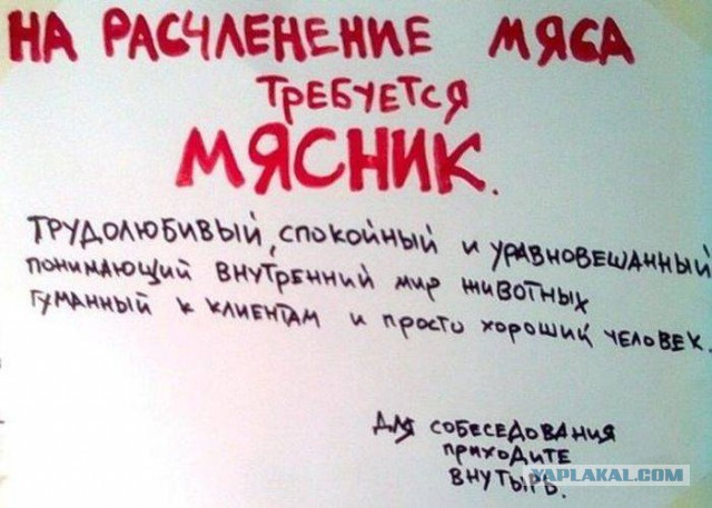 41 веселая картинка
