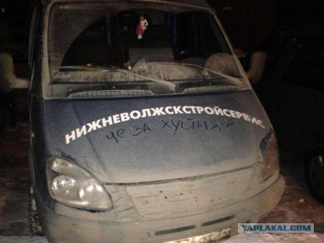 Подборка приколов на пятницу