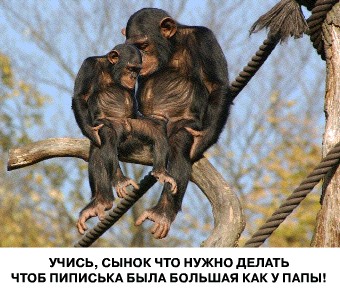 Грустный самец