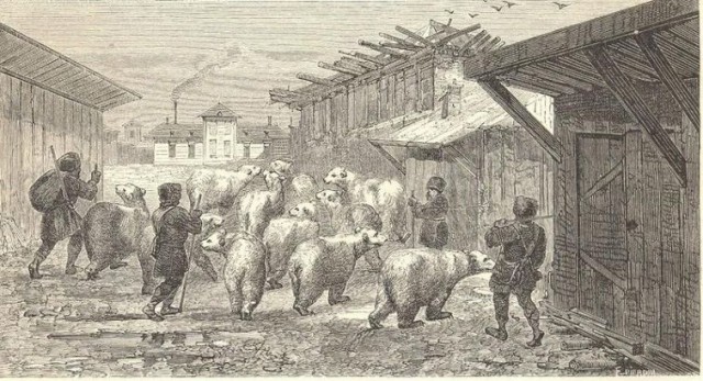 30 исторических фото