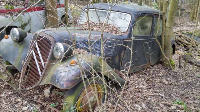 Неандерталь автомобильный