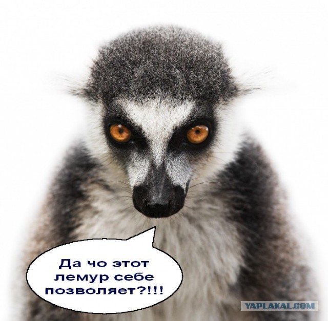 Ленур Ислямов пригрозил Наталье Поклонской.