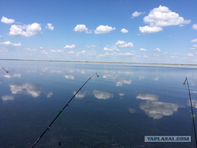 Апрельская рыбалка