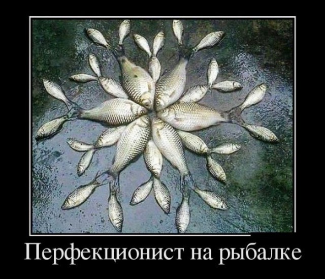 Так и живём! Картинки с надписями для позитивного настроя. Бодрого вам дня!