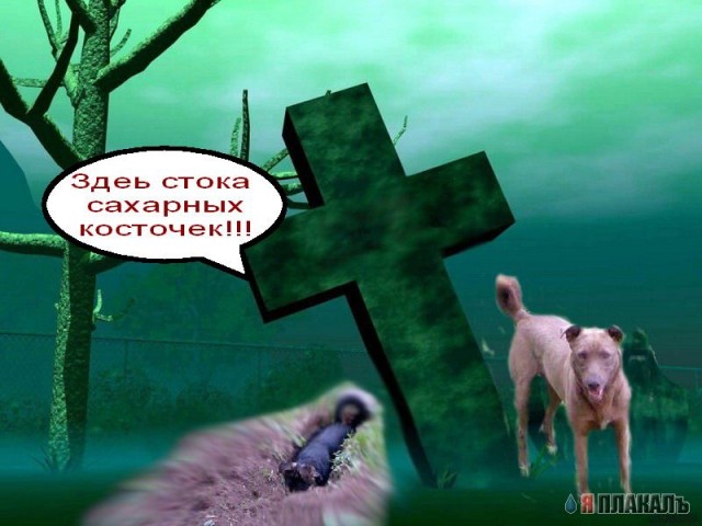 Фотожаба: да здесь где-то недалеко!