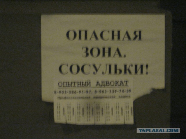 Весёлые картинки