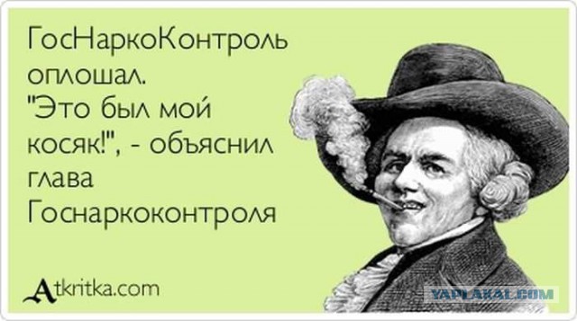 Порция картинок из сети